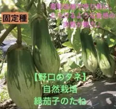 masaco様 リクエスト 2点 まとめ商品