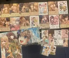 citrus 百合漫画　豪華セット　10月末まで販売