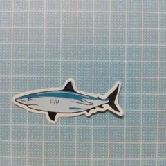 F サメ　　シャーク　Shark　防水ステッカー　ステッカー　シール
