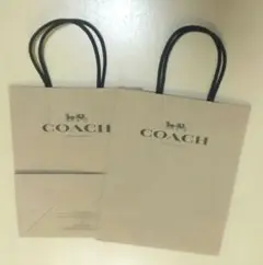 COACH ロゴ入りショッピングバッグ 2枚セット