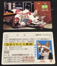 なめ猫 免許証 図書カード パロディカード