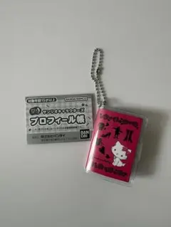 サンリオ プロフィール帳 キティ