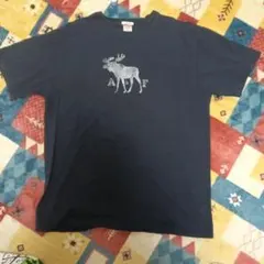 Abercrombie & Fitch Tシャツ XL ネイビー
