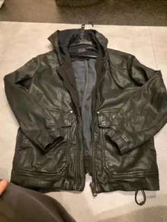 Item thumbnail for item 9b2989c3-07b0-4305-a0dd-1c7664f19229