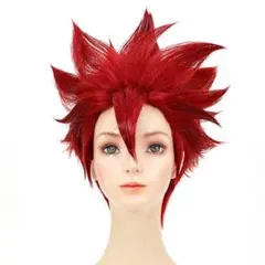 くる様 ウィッグオーダー 専用ページ【ドット・バレット】 2025年最新】ドットバレットコスプレの人気アイテム - メルカリ