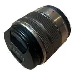 Panasonic LUMIX G VARIO 14-42mm lens