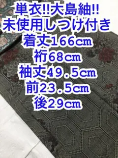 未使用しつけ付き‼︎ トールサイズ　裄68 着丈166 ロング　泥大島のサムネイル