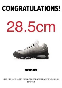 Nike Air Max 95 グラナイト　28.5cm