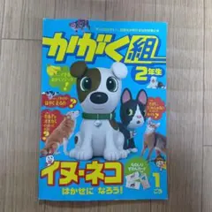 かがく組 2年生 1号