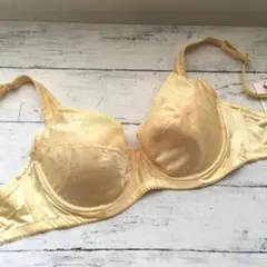 Item thumbnail for item 1dcff94b-a9aa-4a22-ab36-5231877b09b5