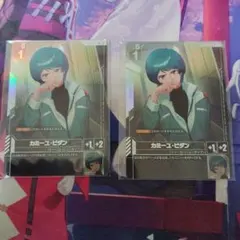 カミーユ・ビダン ニュータイプチャレンジ 未開封