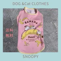 Item thumbnail for item b3fb15f0-f1c0-428d-a6b7-e0ce35ad8129