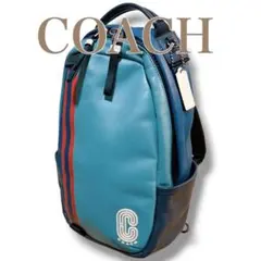 2026年最新】COACH メンズ ボディバッグ・ウエストポーチの人気