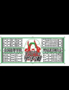 歩*美様 第107回全国高校野球選手権大会記念全校名フェイスタオル【夏の甲子園】