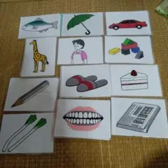 不足なし】家庭保育園 たのしい絵カード「1. 身体名称」知育