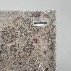 Item thumbnail for item f1202816-1ee0-4bd5-a936-c3d2161b4dfd