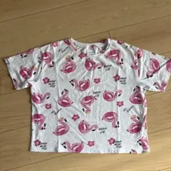 ⭐︎ZARA Tシャツ ⭐︎