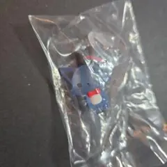 JOCHUM　めじるしアクセサリー1 　レイン