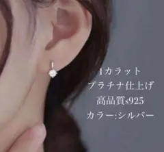 匿名配送　プラチナ　1ctダイヤモンドピアス　送料無料　アレルギーフリー　新品