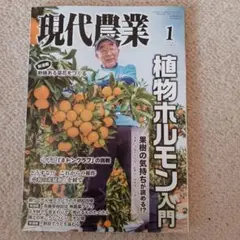 Item thumbnail for item 2f270f5e-3dbd-4c0a-89ab-c1c2eb8f1573