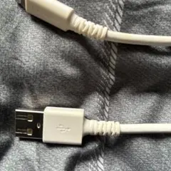 Lightning USB 充電ケーブル