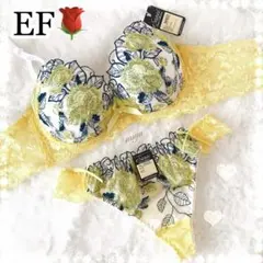 綺麗色✨ロージー刺繍♥️ブラジャー&Tバック上下セット✨エメフィール系ワコール系