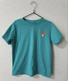 Item thumbnail for item f6ba81d6-1160-4f98-bd4b-a6175c491187