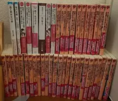 恋愛小説45冊まとめ売り ほぼベリーズ文庫 定価約3万4千円のサムネイル