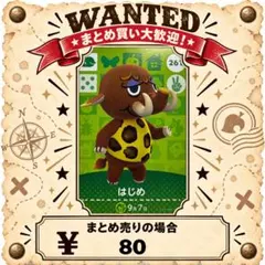 はじめ　amiibo あつ森　アミーボカード　①