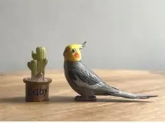 オカメインコとサボテンのミニチュアフィギュア