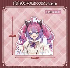 鬼滅の刃 エンドロールくじ ビッグアクリルスタンド カナヲ - メルカリ