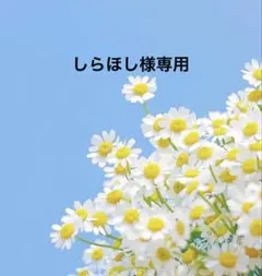 ミニニンジン 編み物 キーホルダー チャーム ストラップ あみぐるみ