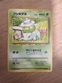 ポケモンカード フシギダネ 旧裏面