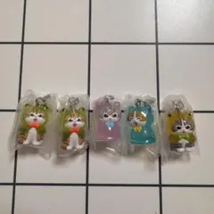 【匿名配送】mofusand めじるしアクセサリー 5点セット