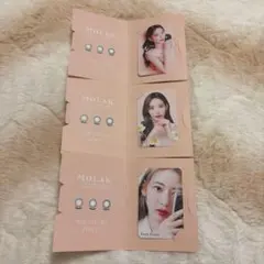 MOLAK 新色デビュー SAKURA カードセット
