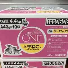 ピュリナワン 子ねこ用 サーモン＆ツナ 4.4kg（440g×10P）分包 子猫