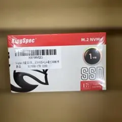 200 KingSpec XG7000 1TB SSD