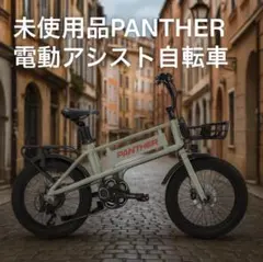 新品】PANTHER 電動アシスト自転車 20インチ ファットタイヤ キャリア