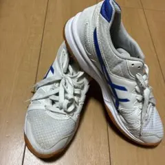 アシックス　体育館シューズ　25cm