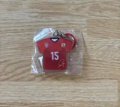 【匿名配送】バレーボール男子 めじるしチャーム 甲斐優斗