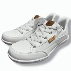 Item thumbnail for item 5896401a-4ba8-4bab-98c4-09ce2ead9ddd