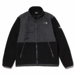 日本製　ノースフェイスWEB限定デナリジャケットのサムネイル