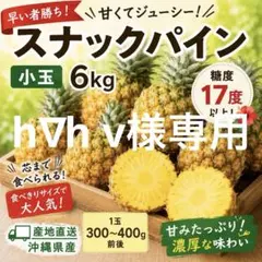 h∇h v様専用（6kg（16〜19玉））