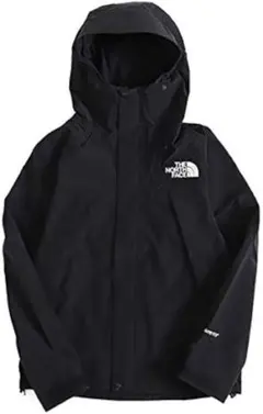 THE NORTH FACE NP61800GORE-TEXマウンテンジャケット