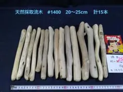 Item thumbnail for item 196e2e6b-7d9a-4b88-ac60-5099395bd351