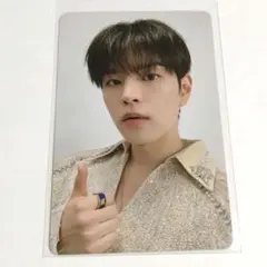 Stray kids SKZOO FIGURE 封入トレカ