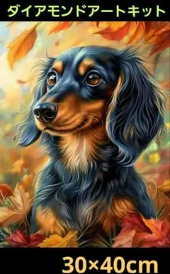 30×40cmダックスフンド　ダイヤモンドアート　キット