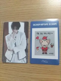 Stray Kids アイエン 合 HOP NEMO 封入 トレカ スキズ