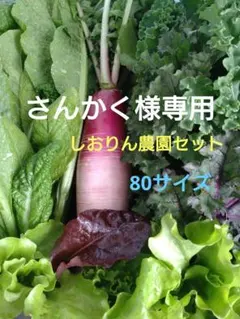 さんかく様専用！しおりん農園セット