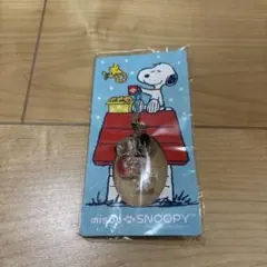 Item thumbnail for item 13c10896-951d-4b0f-af2e-6e5e0c143669